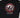 Dragon Kaos Lengan Pendek Pria Dandelion Planet Surf