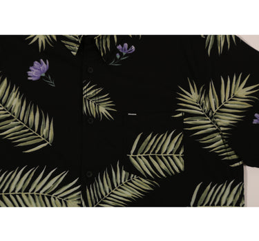 DMSHS ARECA BLACK BLACK
